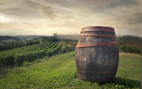 Principles of Healthy Eating: Alcohol