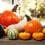 squash-why-we-love-it-and-you-should-too