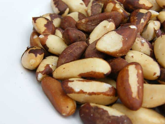 These big creamy tree nuts have a host of health benefits in addition to making a great base for vegan gravies