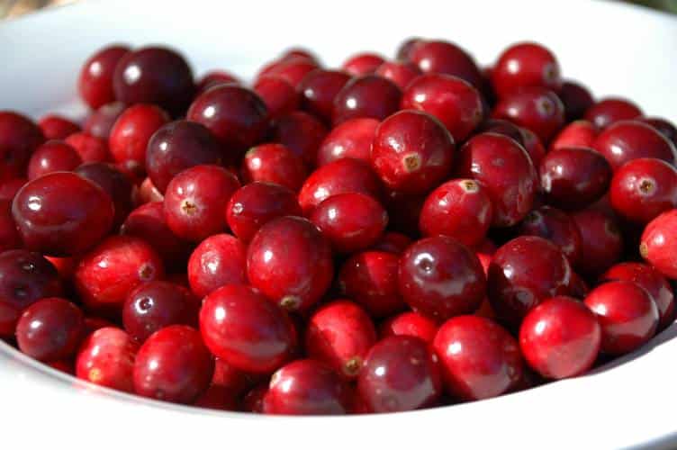 These tart, glossy, scarlet berries are famous for treating urinary tract infections