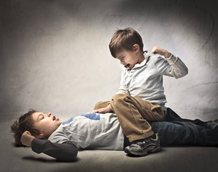 Sibling Fight! Dealing With Quarrelsome Children