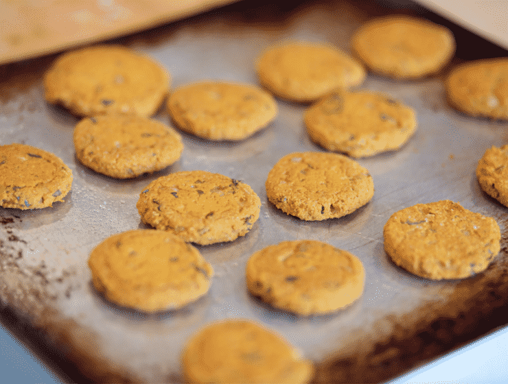 Sweet Potato Burgers