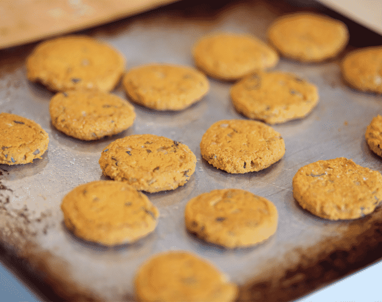 Sweet Potato Burgers