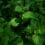 matthew-feeney--o5JUoMDPrQ-unsplash